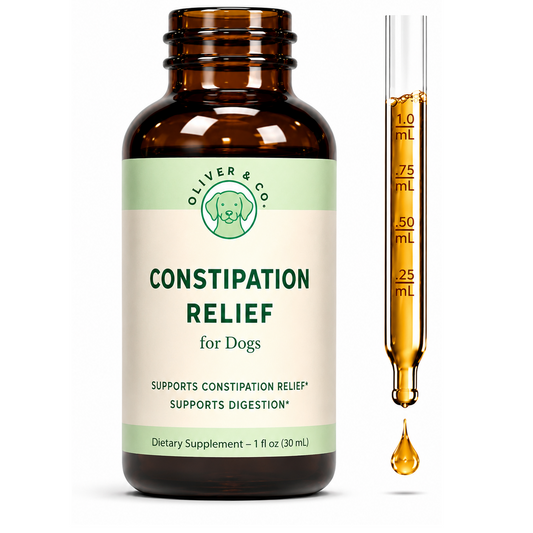 Constipation Relief for Dogs – Dog Digestive Support for Regularity, Digestion & Gut Health, 30 Servings